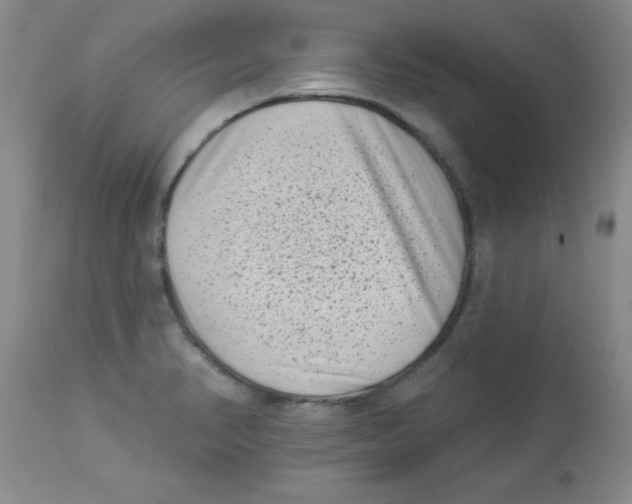 X0000113941374200910231935