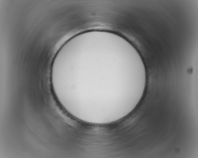 X0000113941375200910231935