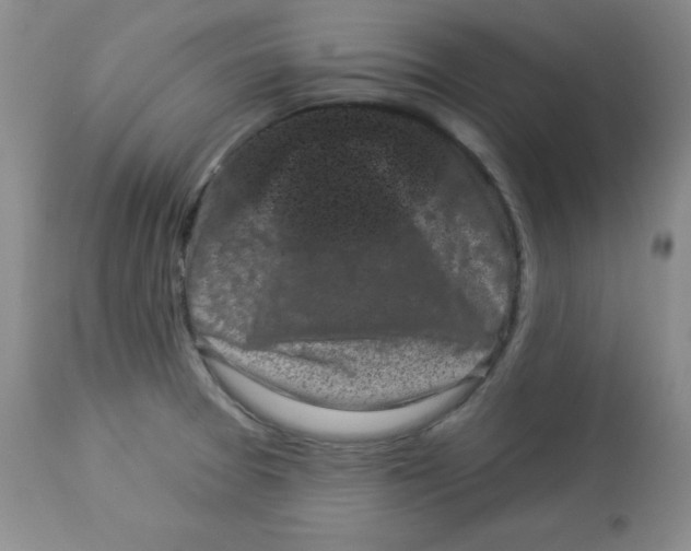 X0000113941377200910231935