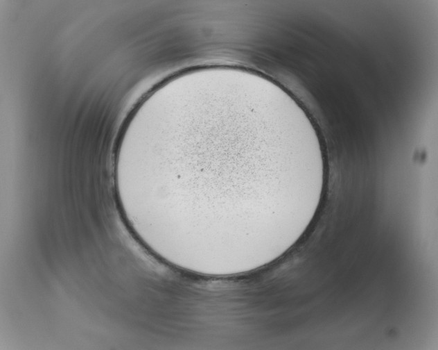 X0000113941380200910231935