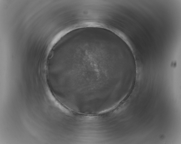 X0000113941381200910231935