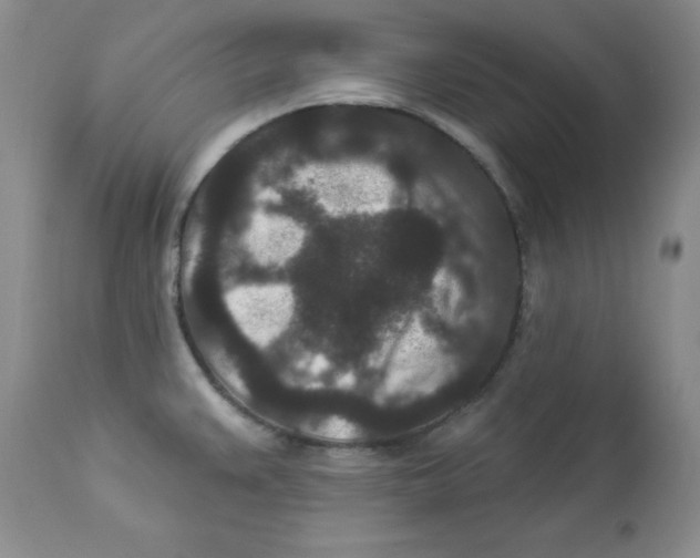 X0000113941383200910231934