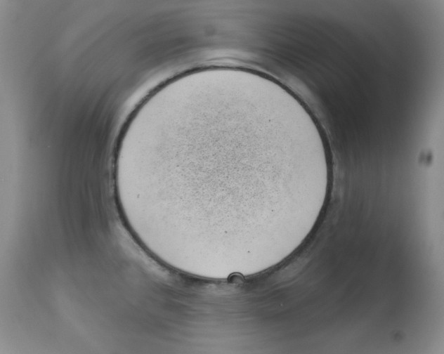 X0000113941384200910231934