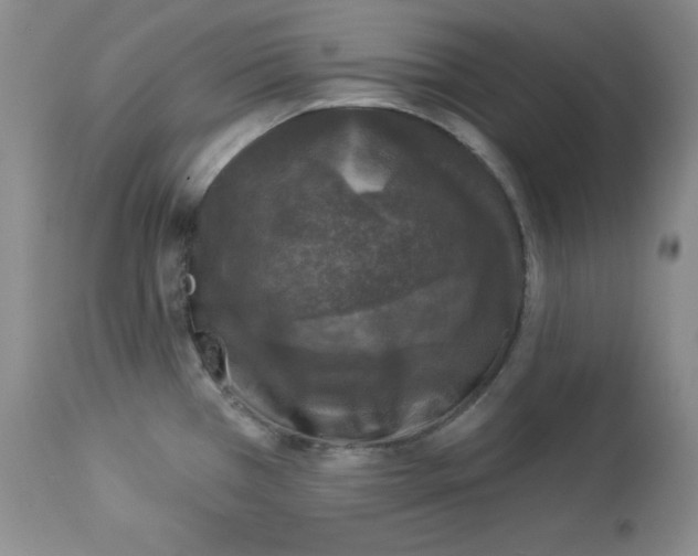 X0000113941385200910231934
