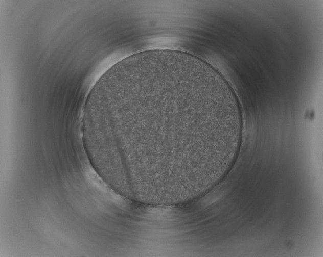 X0000113941386200910231934