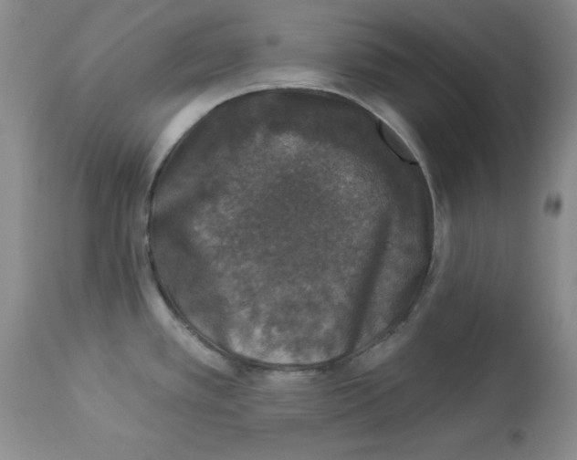 X0000113941389200910231934