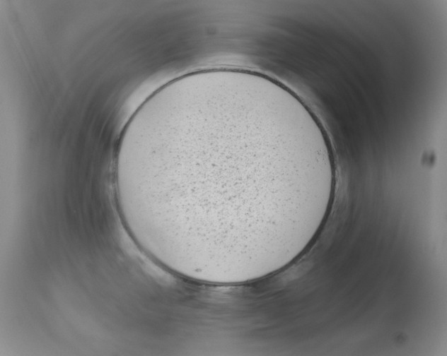 X0000113941390200910231934