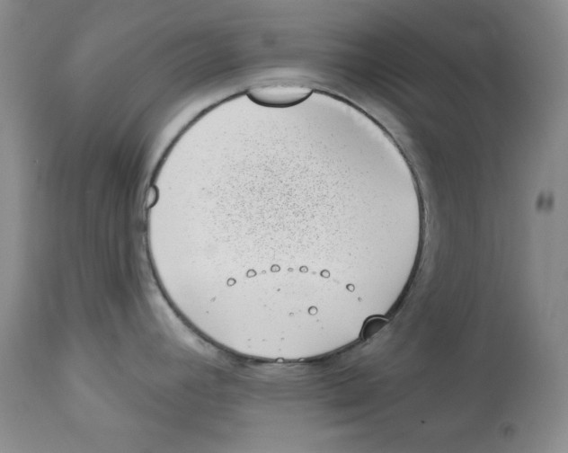 X0000113941392200910231934