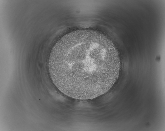 X0000113941393200910231934