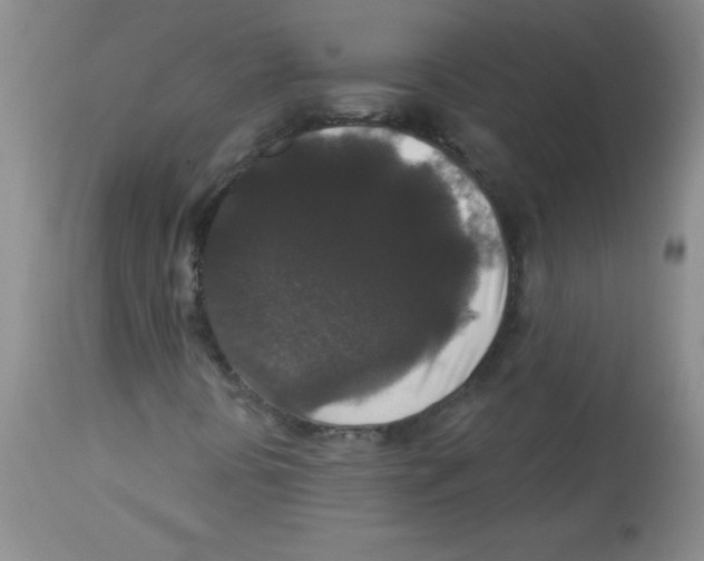 X0000113941394200910231934