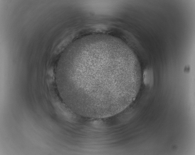 X0000113941395200910231934