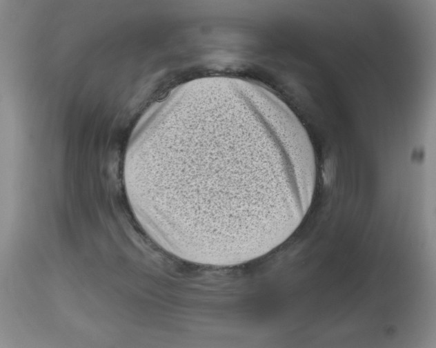 X0000113941396200910231934