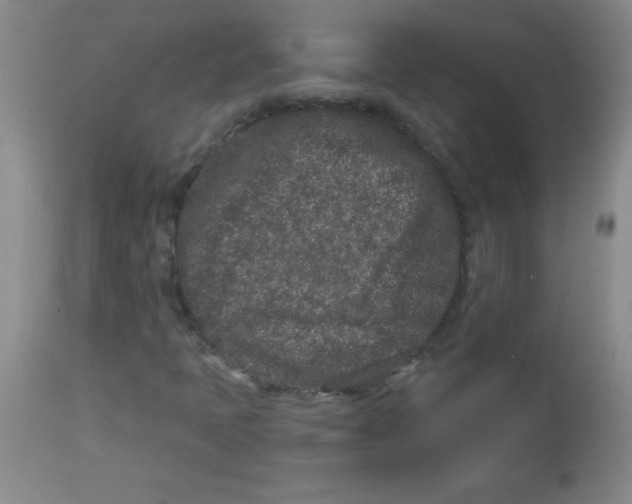 X0000113941397200910231934