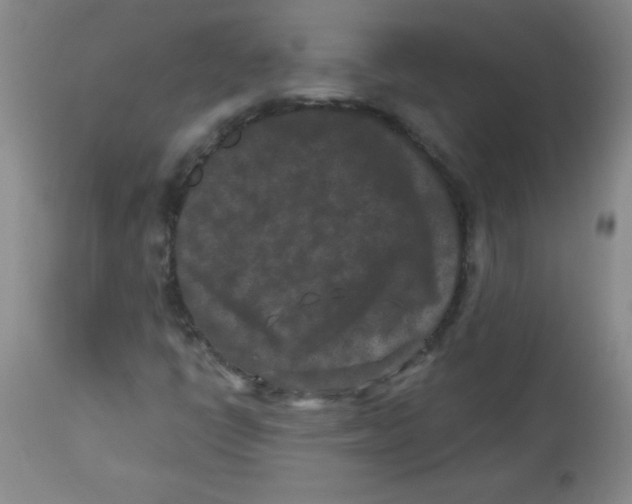 X0000113941398200910231934