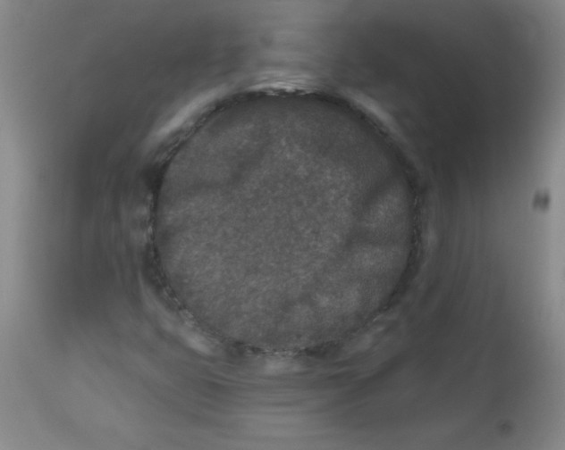 X0000113941399200910231934