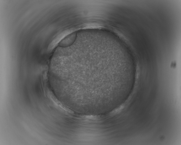 X0000113941401200910231934