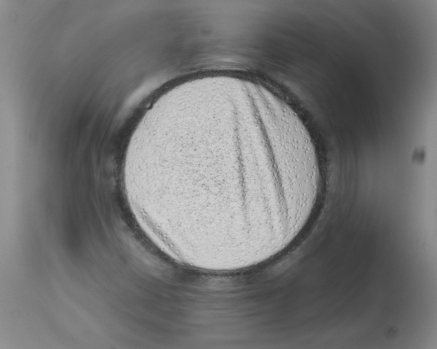 X0000113941402200910231934
