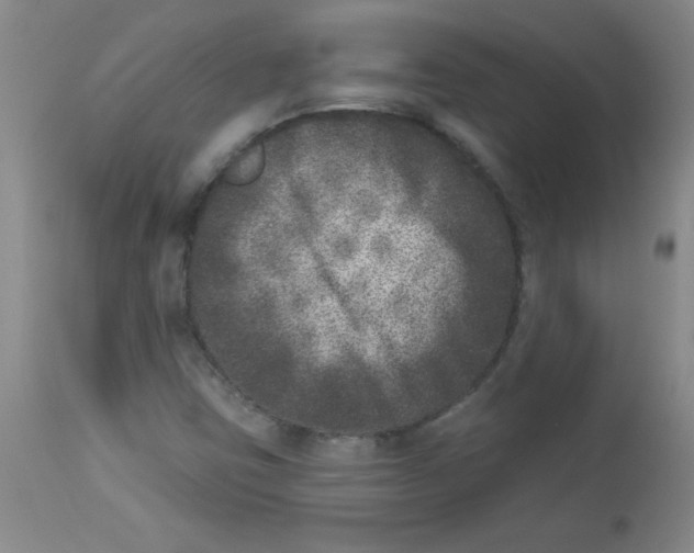 X0000113941403200910231934