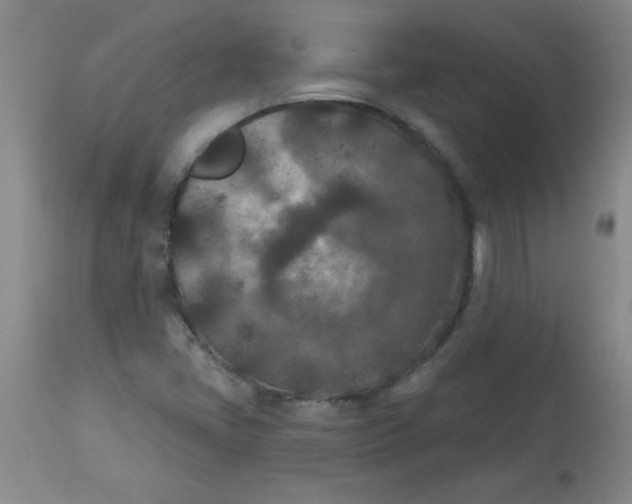 X0000113941405200910231934