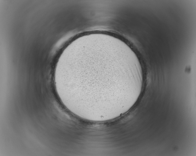 X0000113941406200910231934