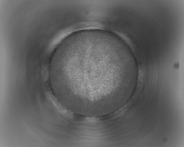 X0000113941407200910231934