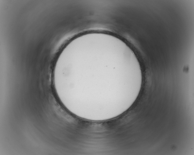 X0000113941408200910231934