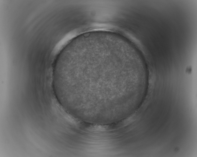X0000113941411200910231934