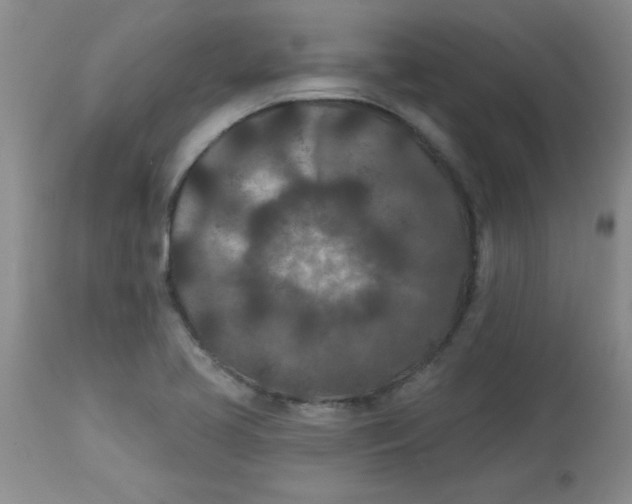 X0000113941413200910231934
