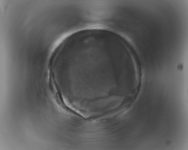 X0000113941414200910231934