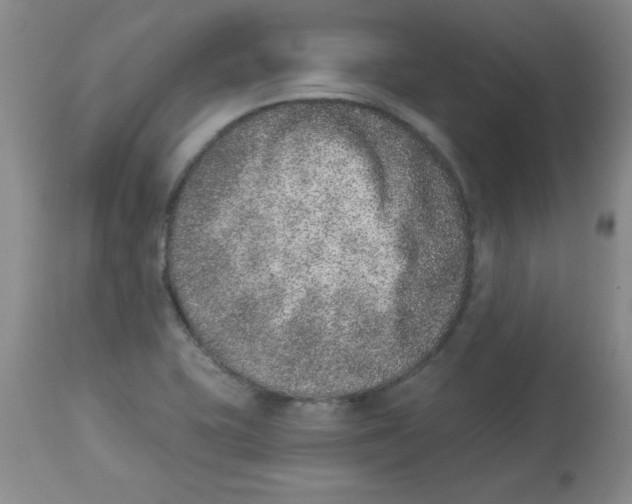 X0000113941415200910231934