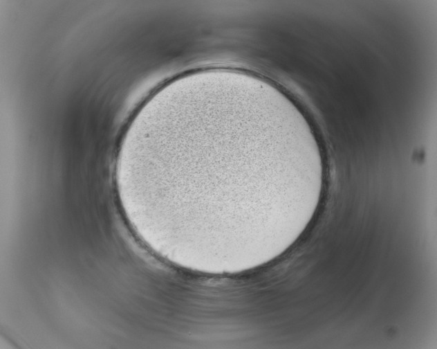 X0000113941416200910231934
