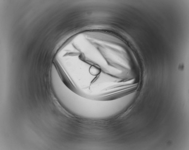 X0000113941417200910231934
