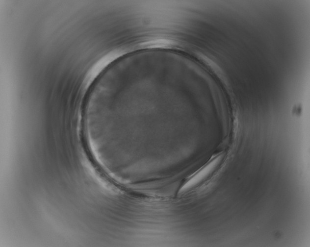 X0000113941418200910231934