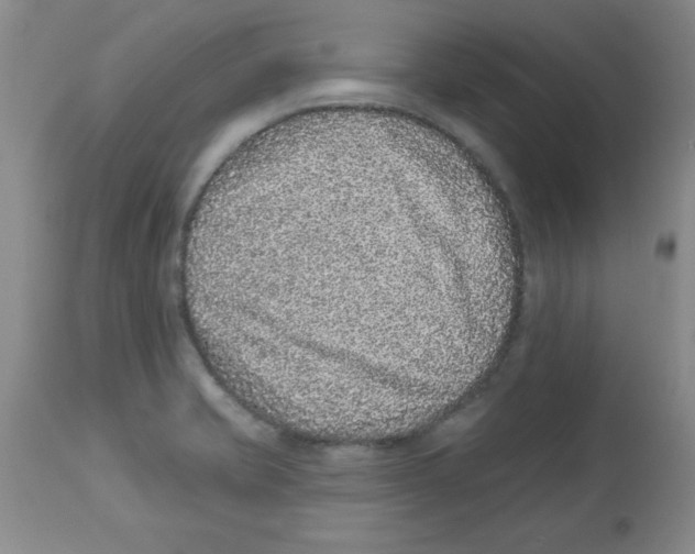 X0000113941421200910231934