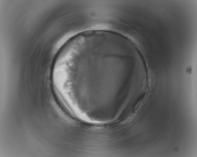 X0000113941422200910231934