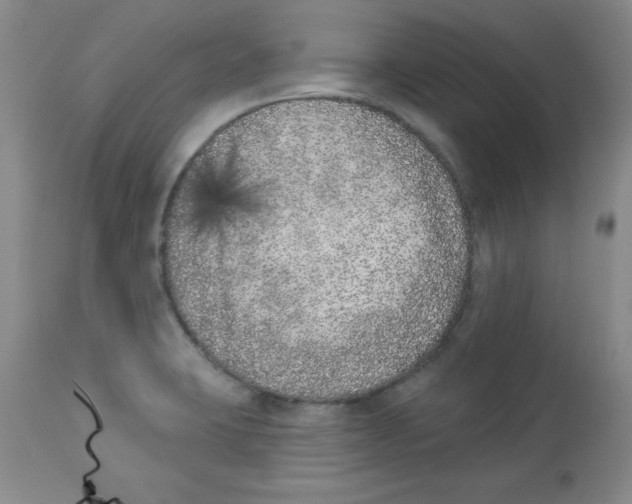 X0000113941423200910231934