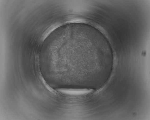 X0000113941425200910231934
