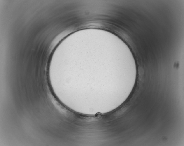 X0000113941426200910231934