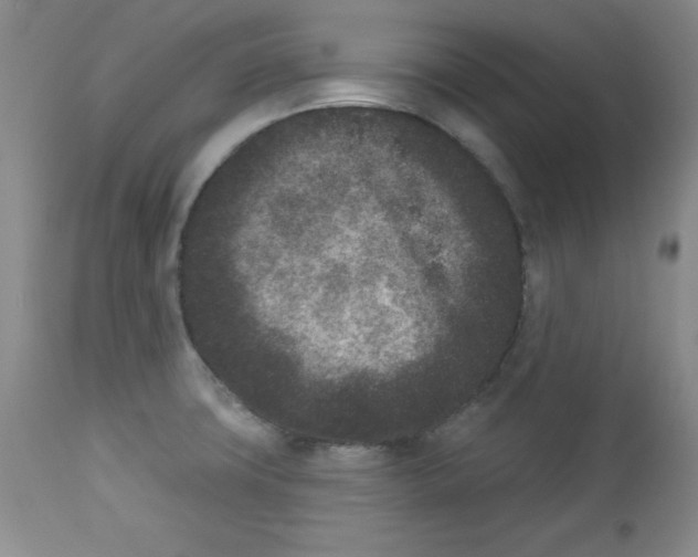X0000113941427200910231934