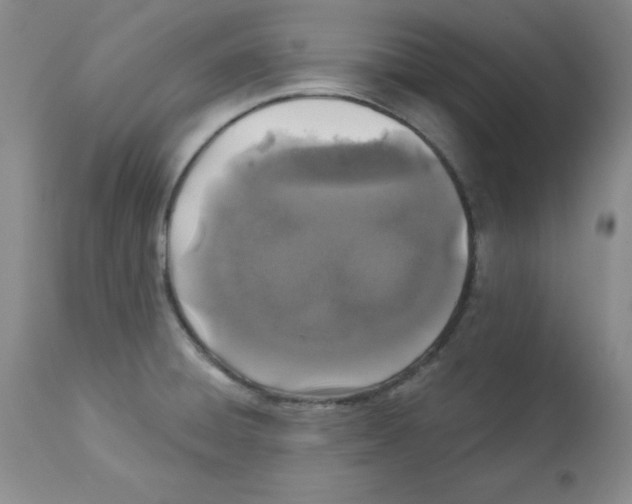 X0000113941428200910231934