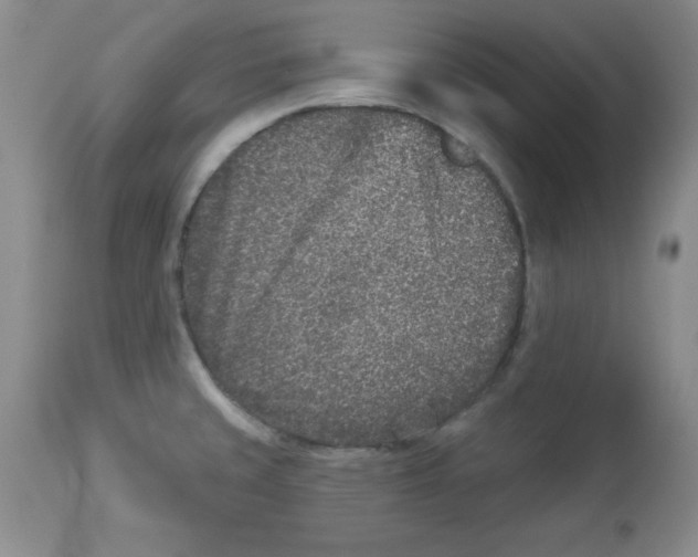 X0000113941429200910231934