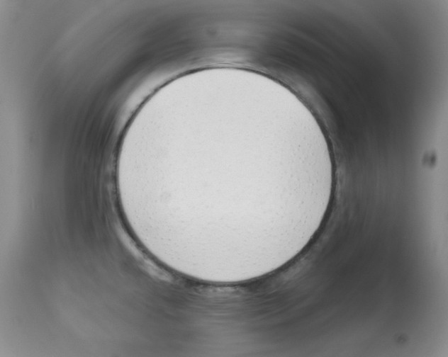 X0000113941432200910231934