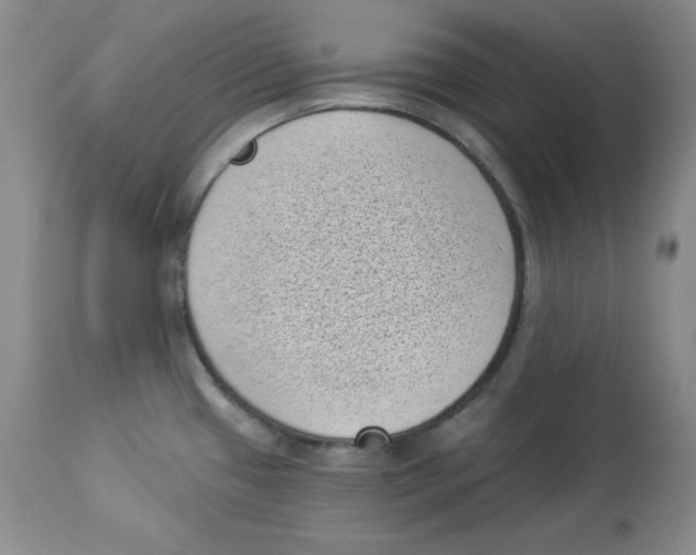 X0000113941433200910231934