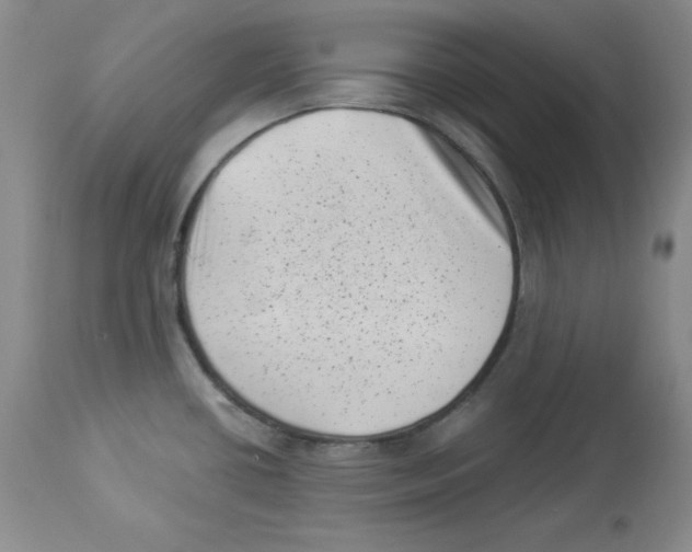 X0000113941434200910231934