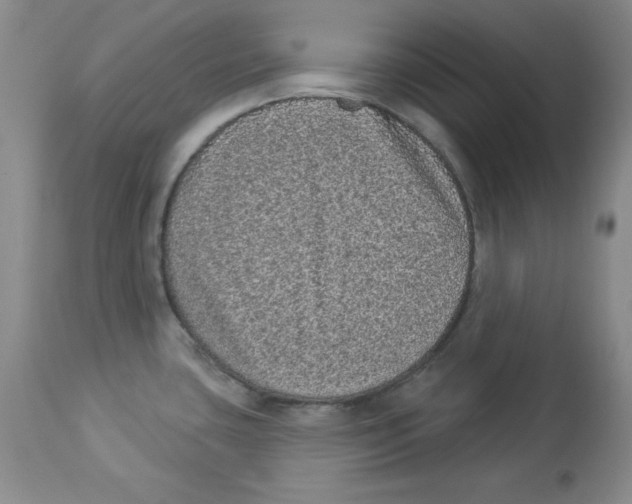 X0000113941435200910231934