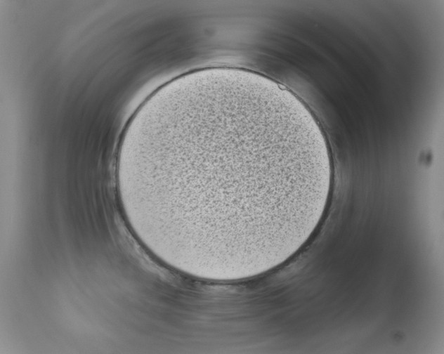 X0000113941436200910231934