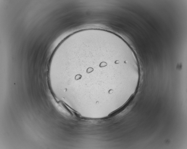 X0000113941438200910231934