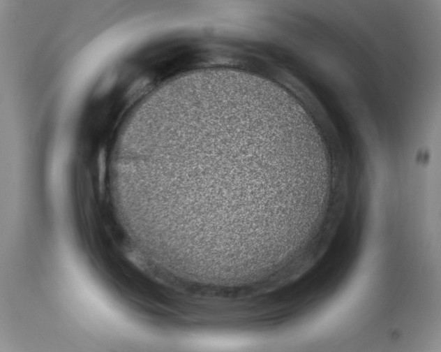 X0000113941439200910231934