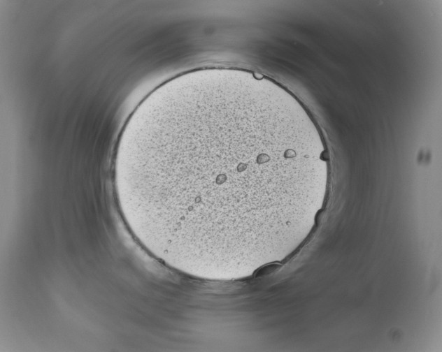 X0000113941440200910231934