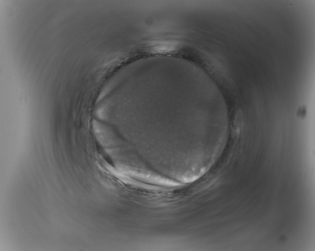 X0000113941441200910231934
